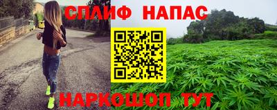 молекула духа Донской